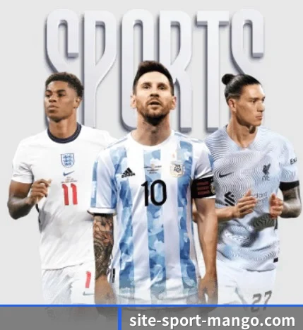 芒果体育 APP（MG sports）
